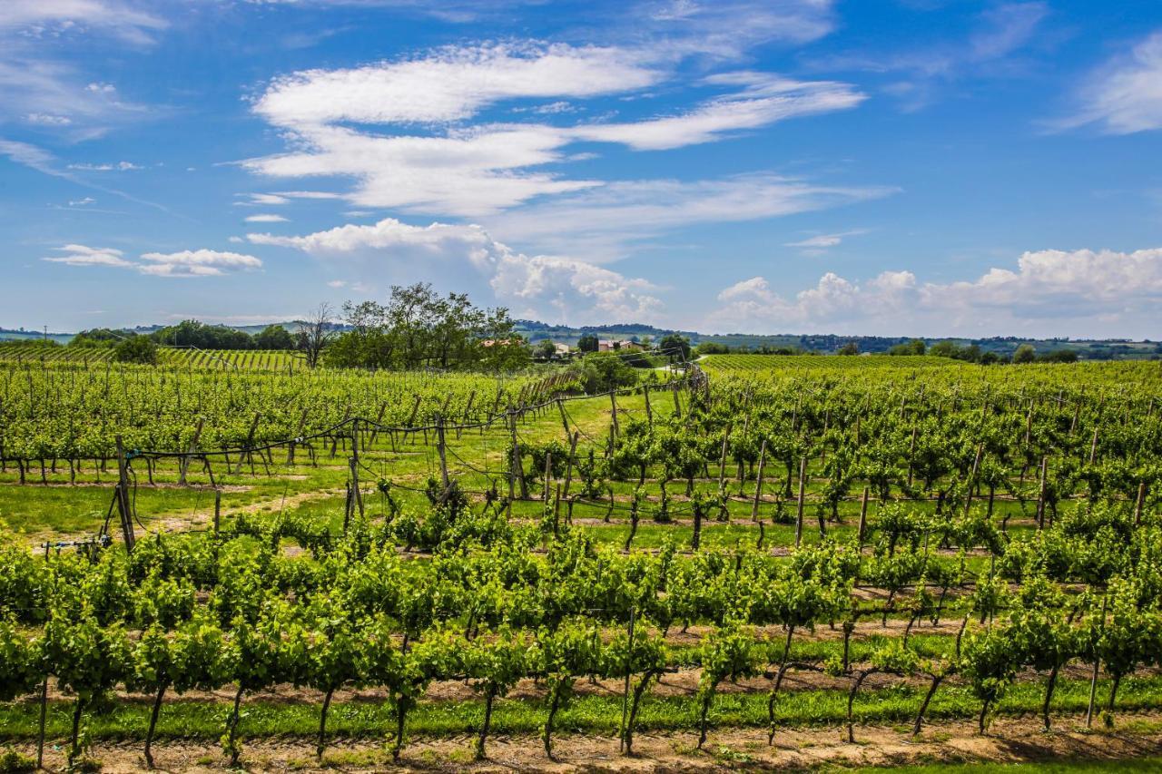 Agriturismo Trere ファエンツァ エクステリア 写真